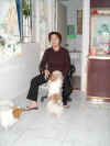 shuma0006.JPG (49891 ֽ)