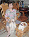 shuma0009.JPG (61296 ֽ)